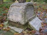 image of grave number 446938